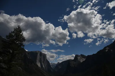 DSC_4332 (Large).JPG